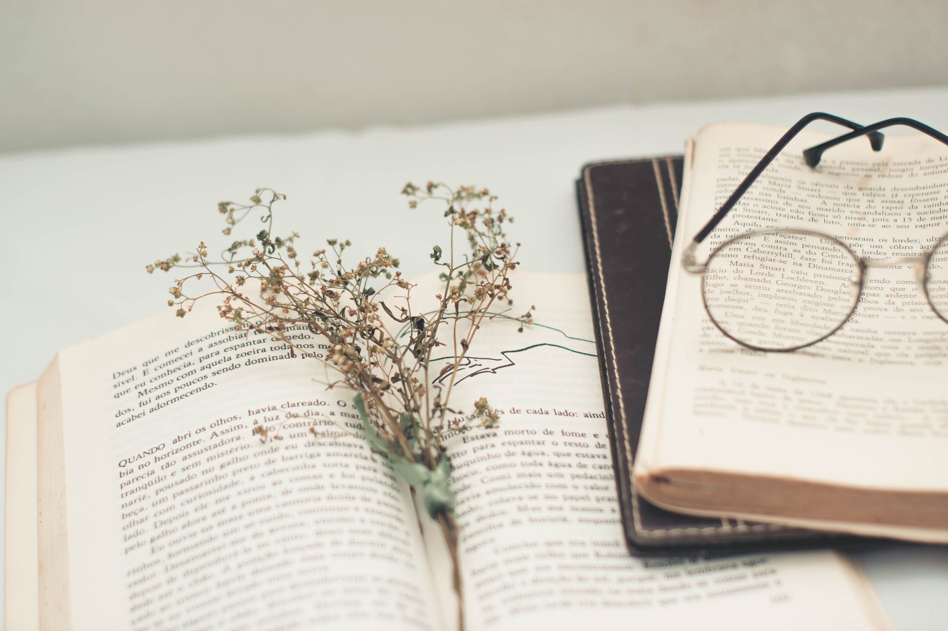 A still life with open books, glasses, and a dry flower conveying a vintage aesthetic.